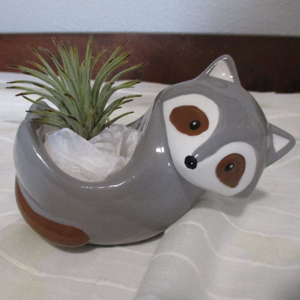 Succulent planter / Roscoe the Raccoon NWT